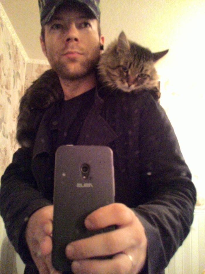 To the question of fashion - My, Fashion, The photo, Selfie, Catomafia, cat