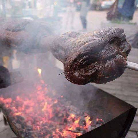 Mmm... Who needs supplements? - Aliens, Shashlik, Yummy