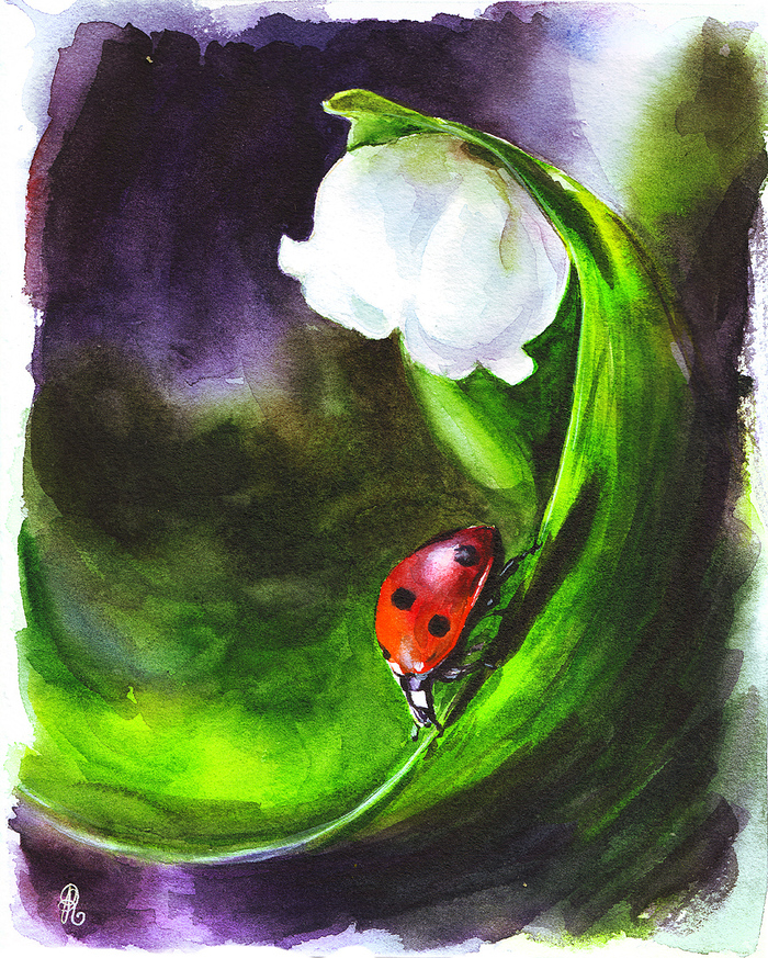watercolor - My, Drawing, Watercolor, ladybug, Flowers, Summer