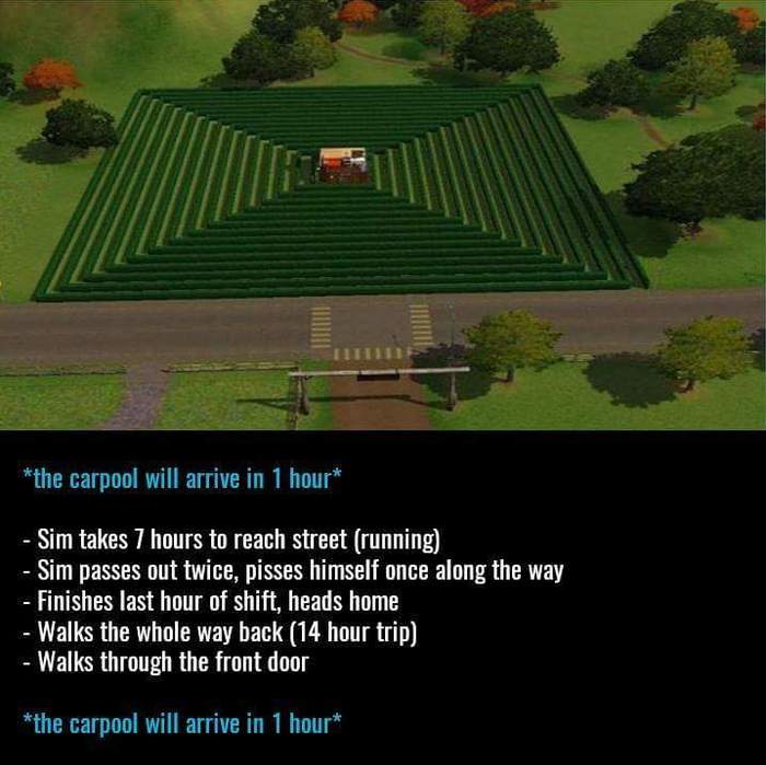  ,      , The Sims, Reddit