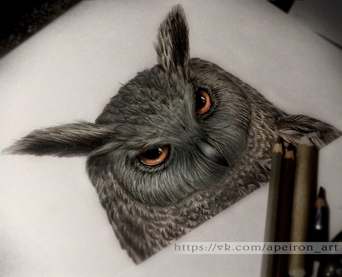 Part of a sketch. - My, My, Owl, Owl, Art, Traditional art, Watercolor pencils, Sketch