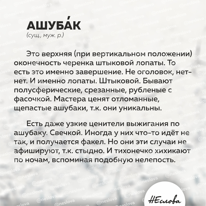 Что такое АШУБАК или игра в НЕслова