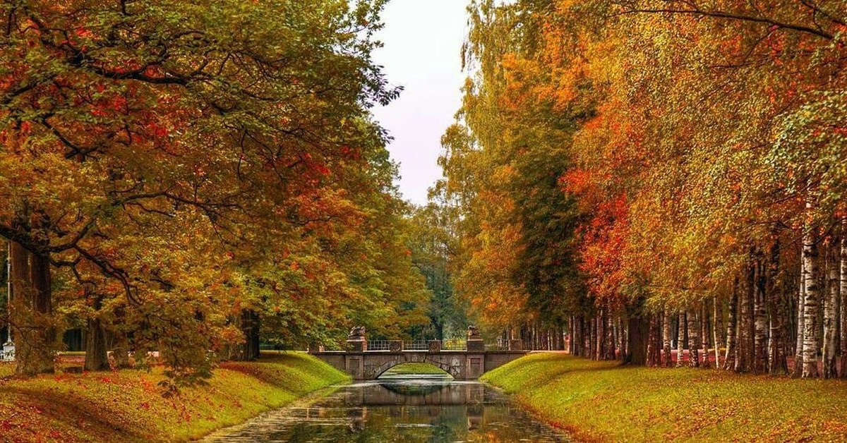 Осенний Пушкин Царское село