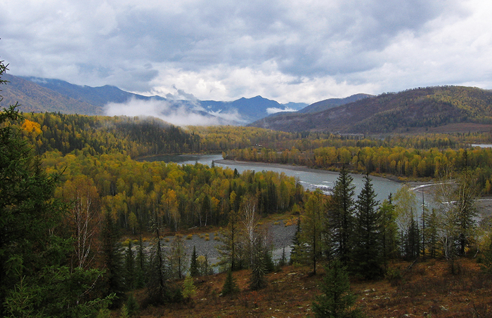 Altai. - My, Mountain Altai, Nature, Katun River, Altai Republic, Katun