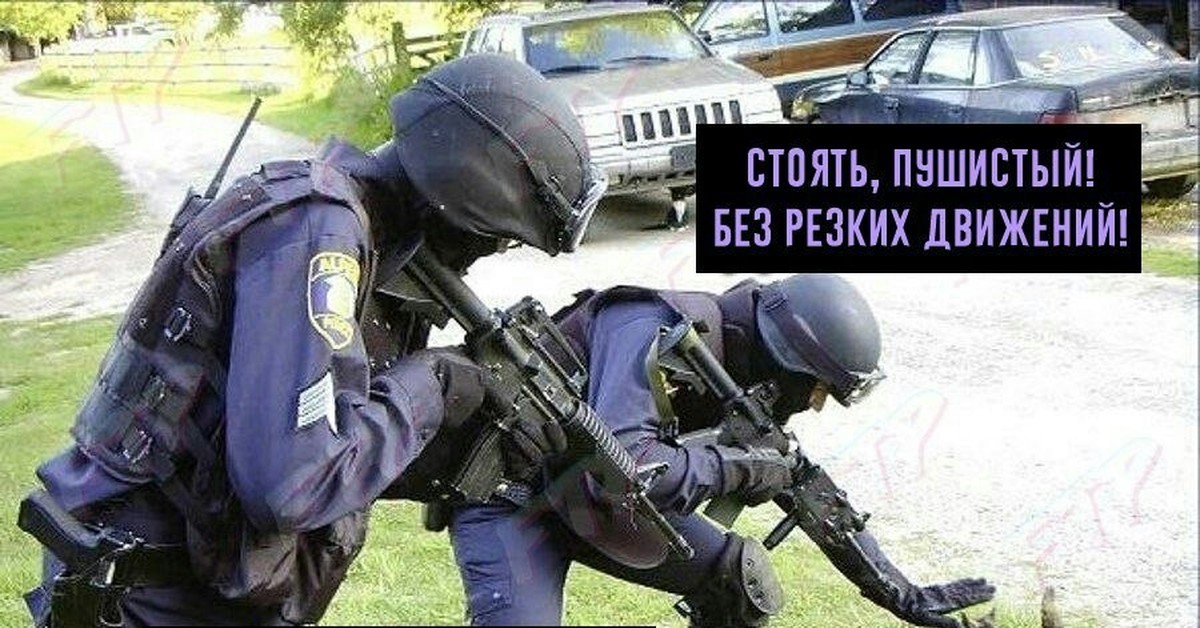 Картинки юмор фсб