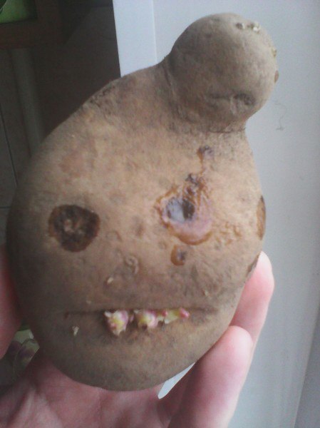 ��������� - �����, ��� �� ���������