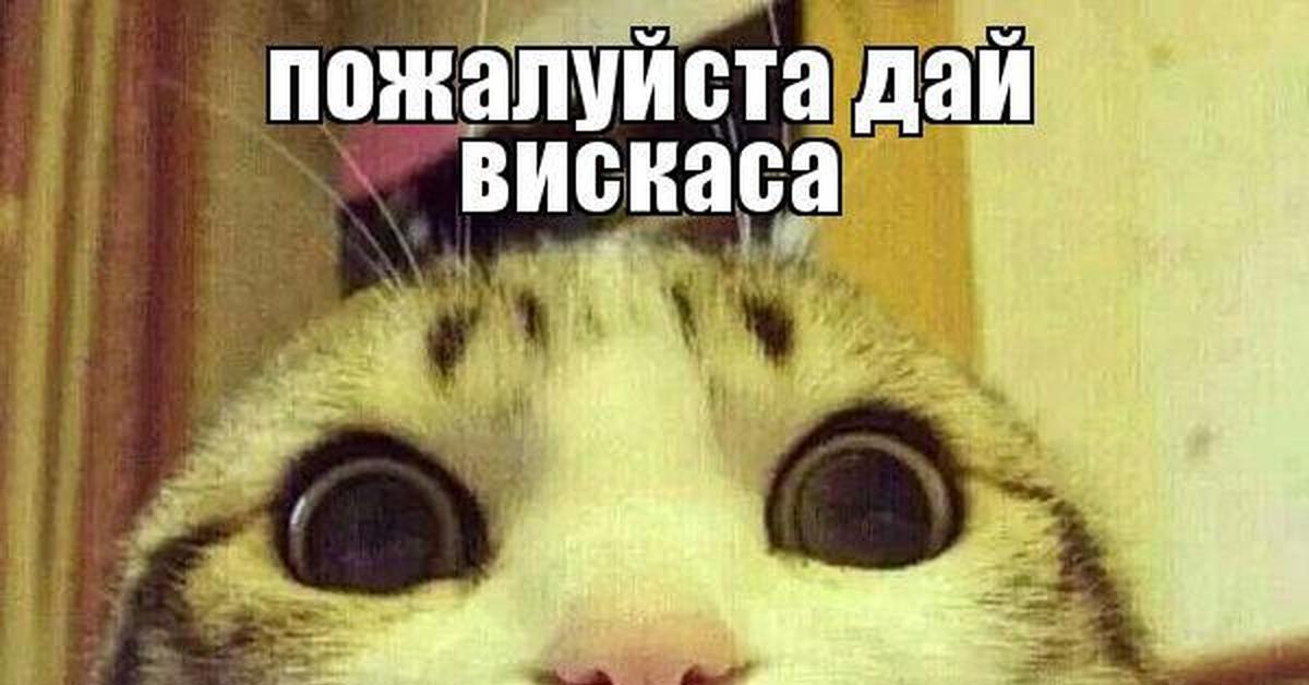 Ну что вы ребьята ;( | Пикабу