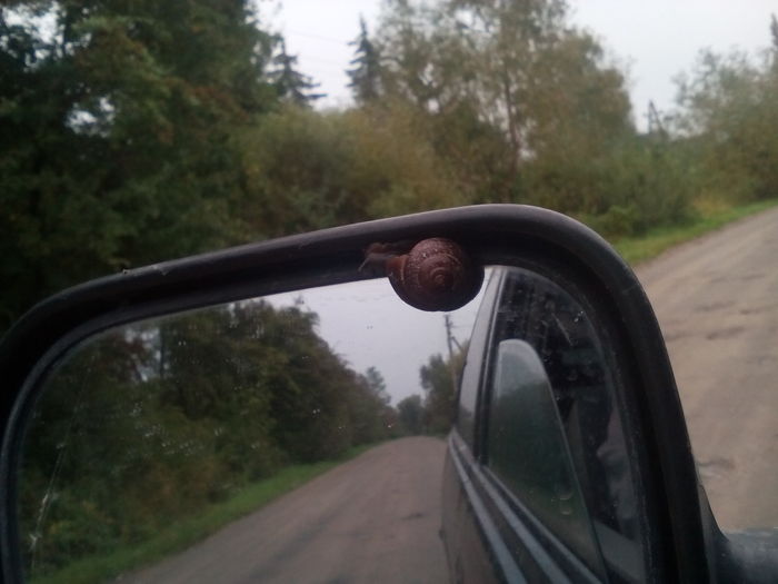 ��������.