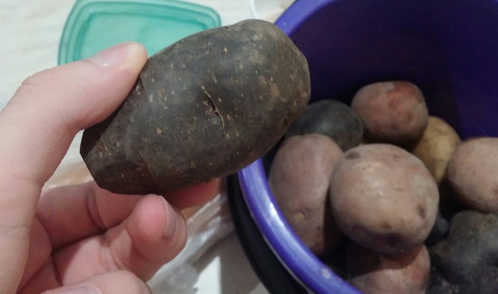 Black potato, now you've seen it all! - My, Potato, French fries, Bulba, Vegetables, Nature, Black people, Now you have seen more