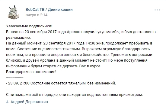 Арслан получил укус мамбы - Arslanvaleev, Укус, Мамба, Змея, Арслан Валеев