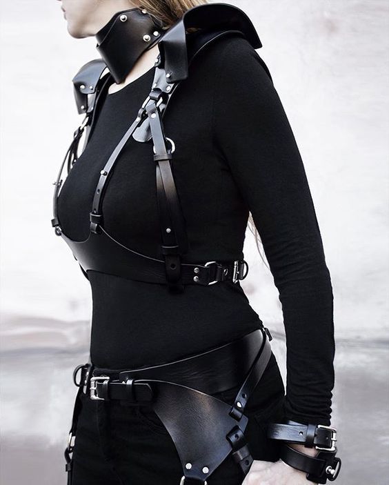 Does anyone like this kind of stuff? ;) - Girls, Leather, Harness, Longpost