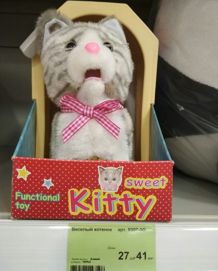 Funny kitten - My, Funny name, Price tag, cat