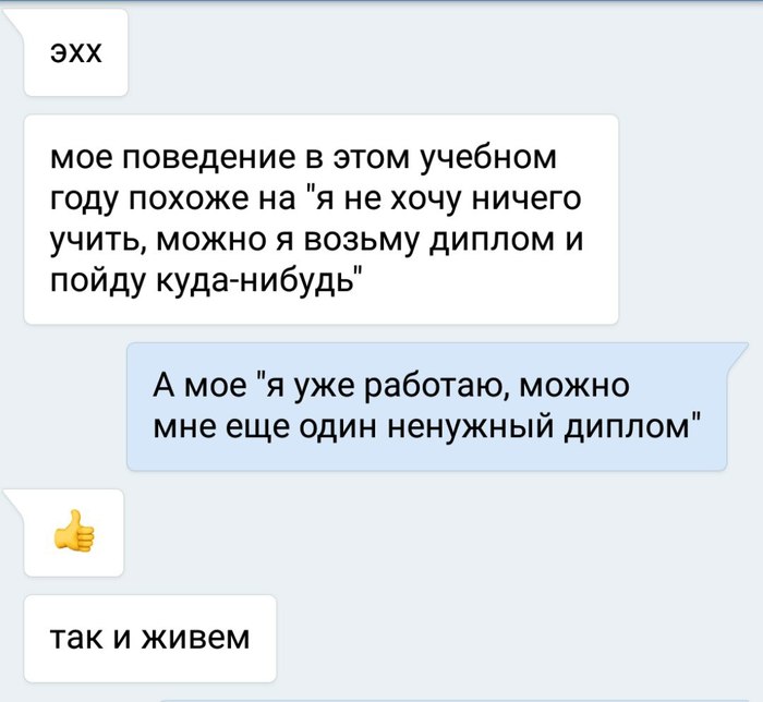 Когда надоело учиться в магистратуре - Чат, Моё, Учеба, Диплом, Магистратура