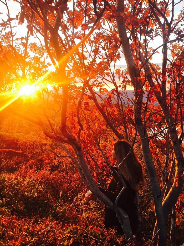 Autumn in Murmansk - Autumn, Murmansk, My