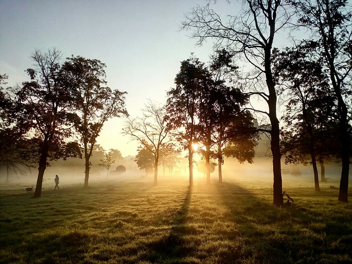 Fog this morning. St. Petersburg, Aviators' Park. - My, My, The photo, Fog, Morning, 