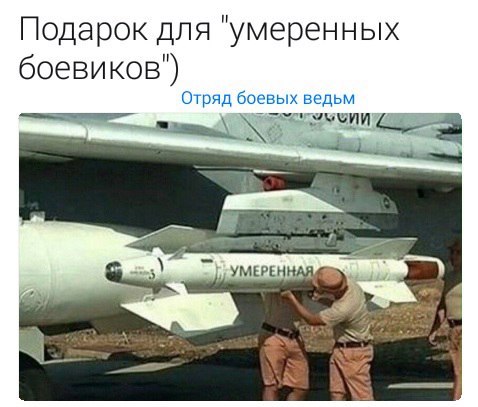 Moderate warheads ..... for moderate militants) - Syria, Russia, Боевики, Террористы, Photoshop