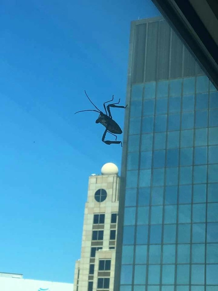 ��� �� ������� ������ ����� �� ��������