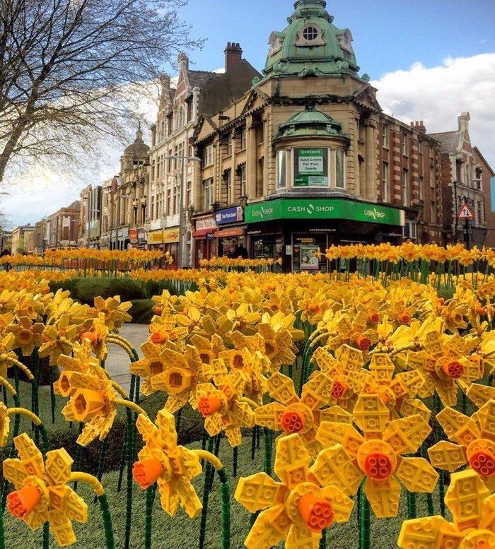 A field of Lego daffodils in the center of a British city - Lego, Flowers, Great Britain