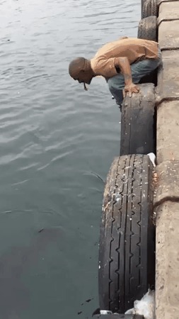 ,   !