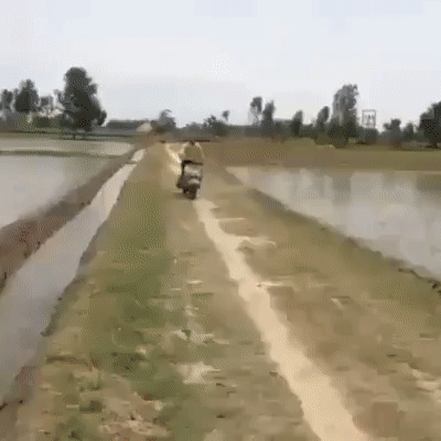 It's great to ride a moped... - Moped, wow trip, GIF