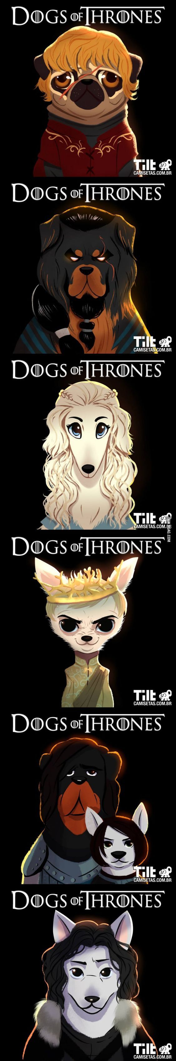 There were already cats, now dogs are in the Game of Thrones. - Images, Game of Thrones, Dog, Longpost