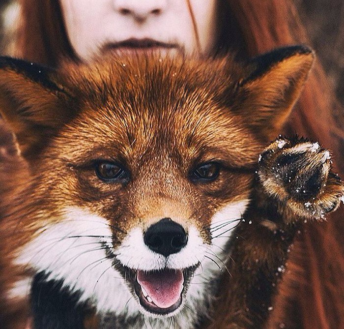 � ������� �����/����� �������� ��������