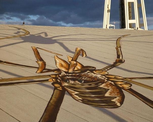 On the roof of one of the houses in the USA, not far from the airport - Roof, Drawing, Talent, Spider