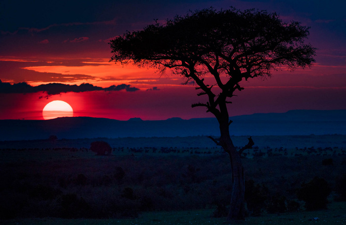 Sunset at Masai Mara, Kenya - Sunset, Kenya, Nature, Serengeti