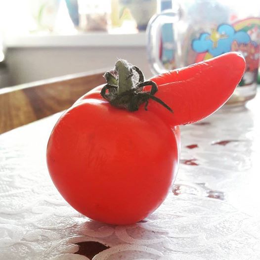 Don Tomato - My, Vegetables and fruits, Humor, Vegetables