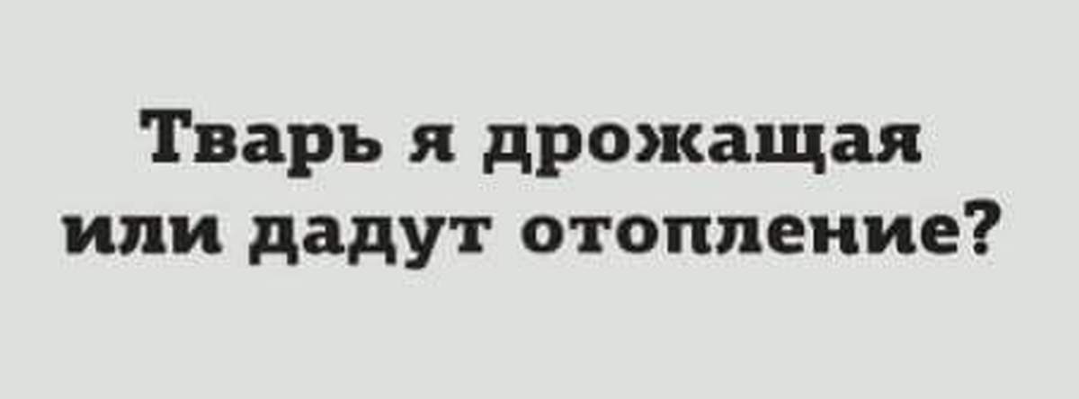 Painart. Тварь я дрожащая или отопление. Тварь я дрожащая или отопление дадут. Тварь я дрожащая или чаю нальете. Тварь я дрожащая или включат отопление толстовка.