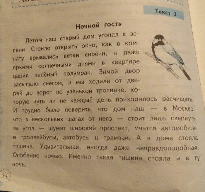 Если бы Стивен Кинг писал бы тексты для третьеклассников. Прям хоррор - Моё, Стивен Кинг, Задача, Школа, Русский язык, Длиннопост