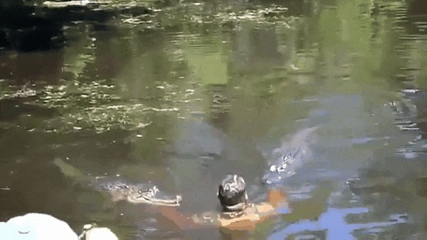 � ���� ���� ������