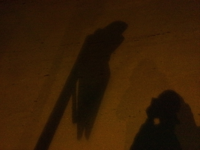 sinister shadow - sinister shadow, The photo, Silent Hill, My, Kripota