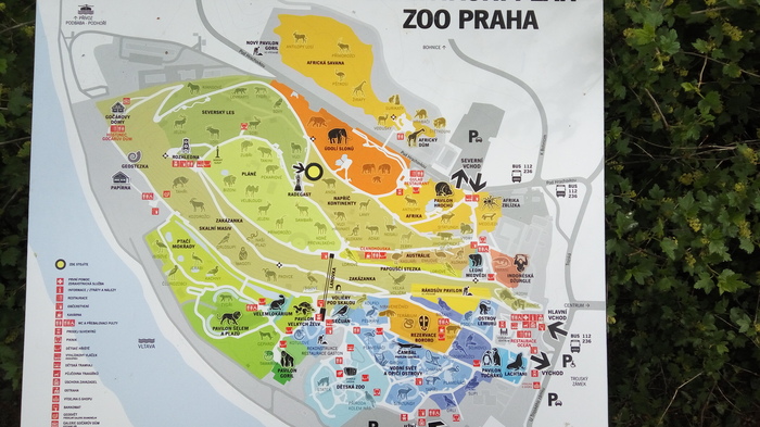 Prague Zoo. - My, Prague Zoo, Travels, Beginning photographer, Canon 650d, Animals, Birds, Longpost