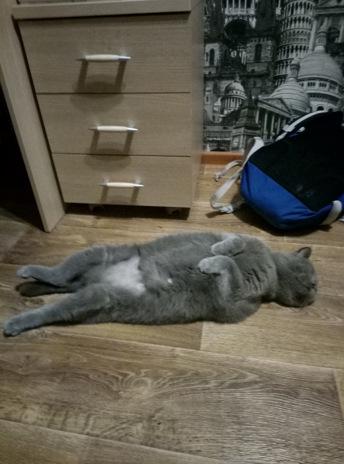 ���������� ���� ��� � �����.