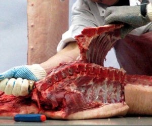 19 Most Disgusting Jobs in the World - Work, Longpost, Profession, Disgusting