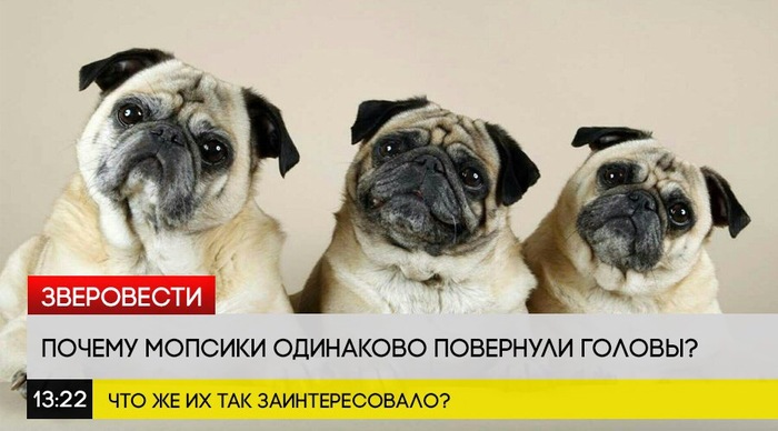 Breaking news