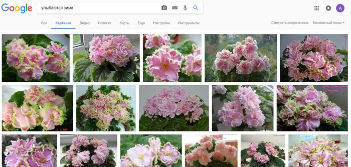    ... Google,  , , 