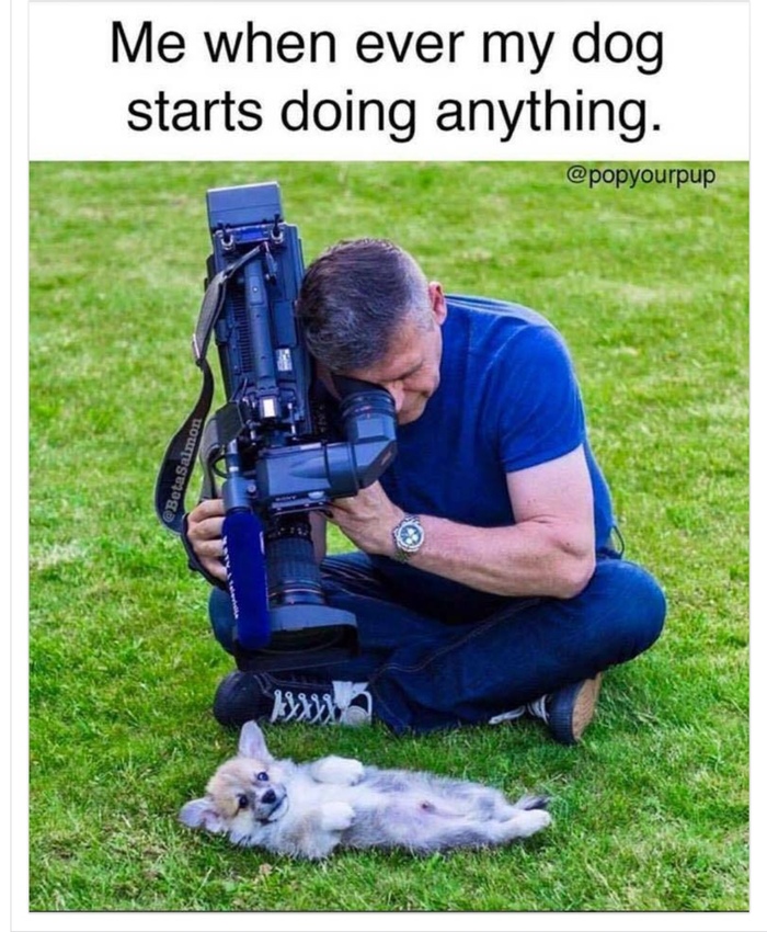 ,     -  , , 