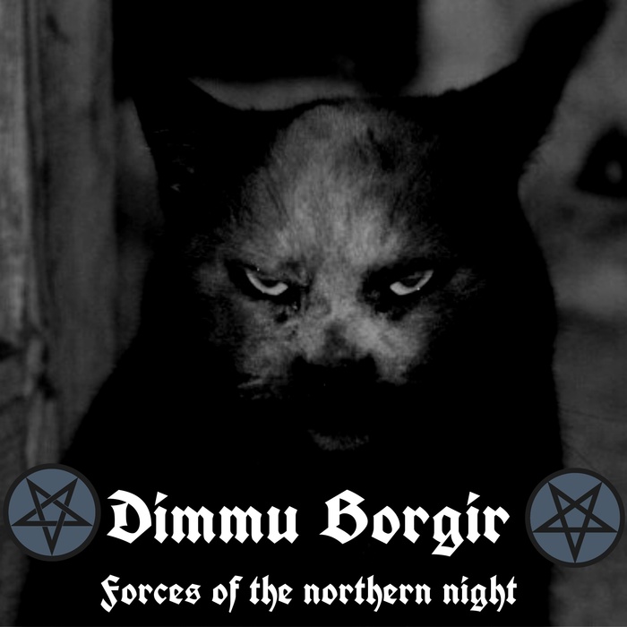 Metal cats. - My, cat, Metal, Dimmu Borgir, Death metal, Longpost, Gothic