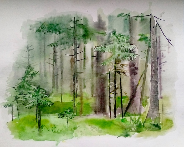 A couple of watercolor sketches from the forest. - My, My, Sketch, Summer, Watercolor, Forest