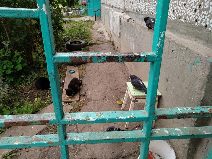 ���������