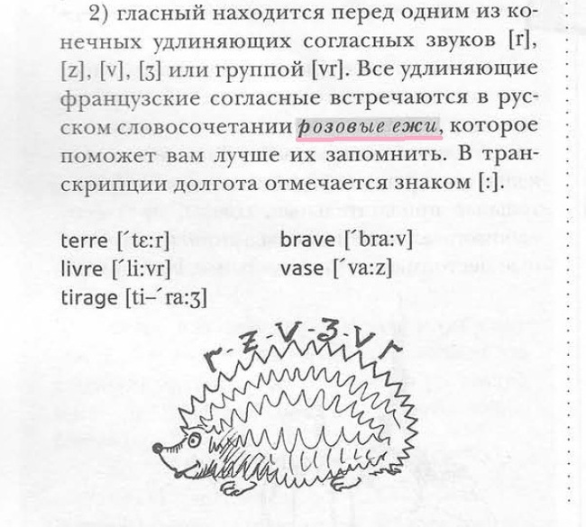 pink hedgehogs - French, Phonetics, Hedgehog, Milota