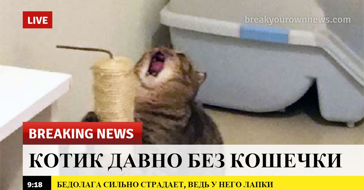 Давно без