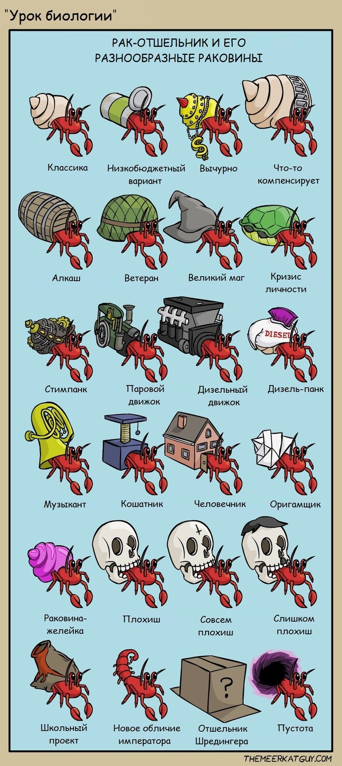 Рак-отшельник: истории из жизни, советы, новости, юмор и картинки — Лучшее,  страница 5 | Пикабу