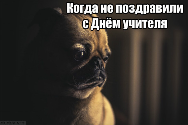 ����� �� ����������� � ���� �������....