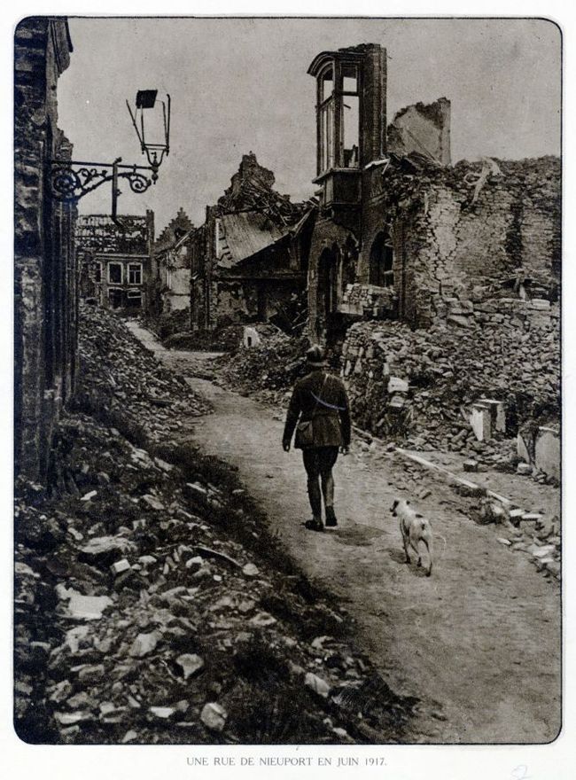 Dogs in the First World War. Part 1. - World War I, Story, Dog, Animals, Longpost