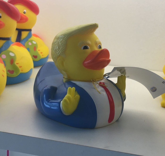 Donald. - Donald Duck, Donald Trump, Duck, Quack quack