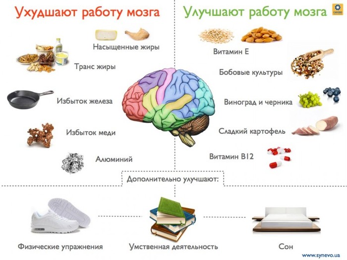 как в мозге человека запечатляется информация 6 класс технология. Смотреть фото как в мозге человека запечатляется информация 6 класс технология. Смотреть картинку как в мозге человека запечатляется информация 6 класс технология. Картинка про как в мозге человека запечатляется информация 6 класс технология. Фото как в мозге человека запечатляется информация 6 класс технология