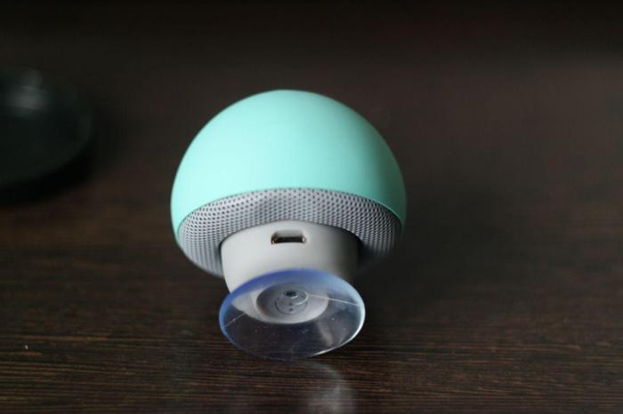 Bluetooth грибок | Пикабу